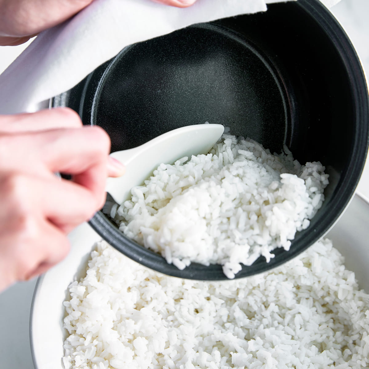 Rice and Grains CookerWhite, 2L/8 Cups